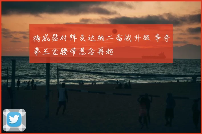 梅威瑟对阵麦达纳二番战升级 争夺拳王金腰带悬念再起