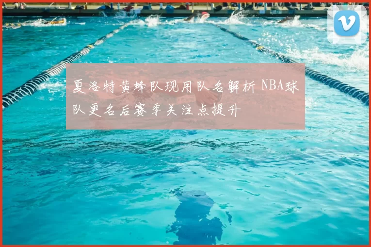 夏洛特黄蜂队现用队名解析 NBA球队更名后赛季关注点提升