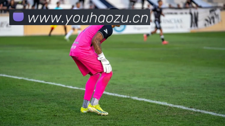 333体育(中国)官方网站 - 333 SPORTS品牌故事